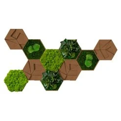 BAUHAUS StyleGreen Moosbild Hexagon 19 X 22 Cm, Null