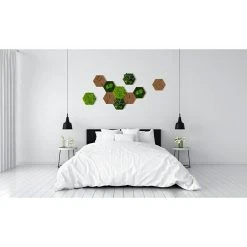 BAUHAUS StyleGreen Moosbild Hexagon 19 X 22 Cm, Null -BAUHAUS Shop 12 1644