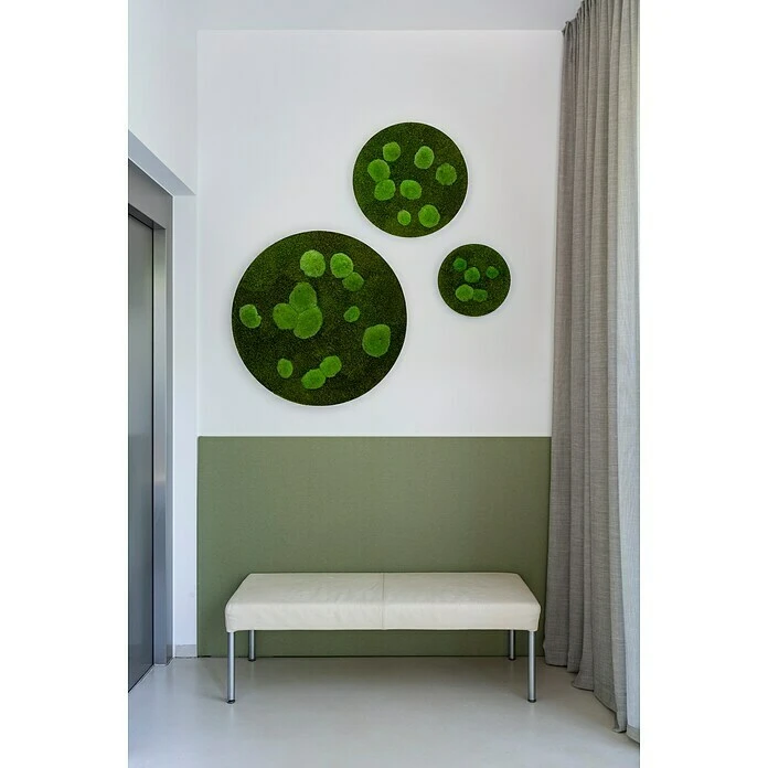 BAUHAUS StyleGreen Moosbild 80 X 6 Cm 5 BAUHAUS StyleGreen Moosbild 80 X 6 Cm – Bild 3