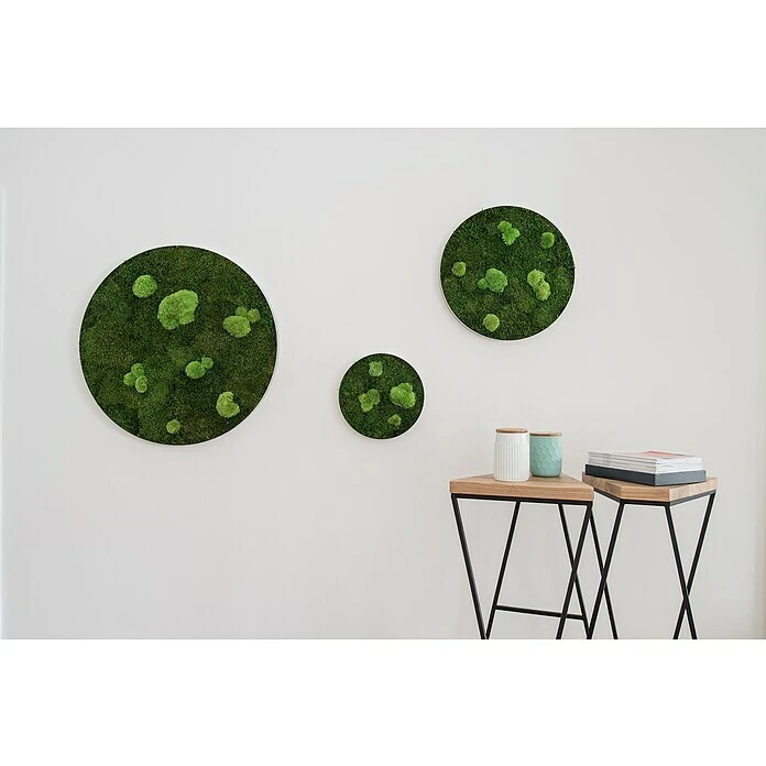 BAUHAUS StyleGreen Moosbild 80 X 6 Cm 7 BAUHAUS StyleGreen Moosbild 80 X 6 Cm – Bild 5