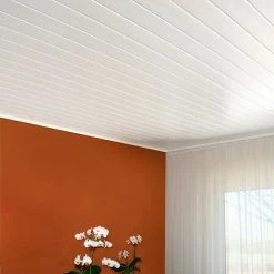 BAUHAUS BaukulitVox Profi-Line Verkleidungspaneel B12 Weiß, 3.000 X 125 X 9 Mm -BAUHAUS Shop 12 1769